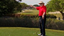 Dave Pelz