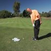 Shawn Cox Short Game